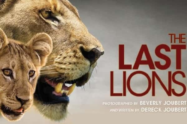 the last lions movie poster